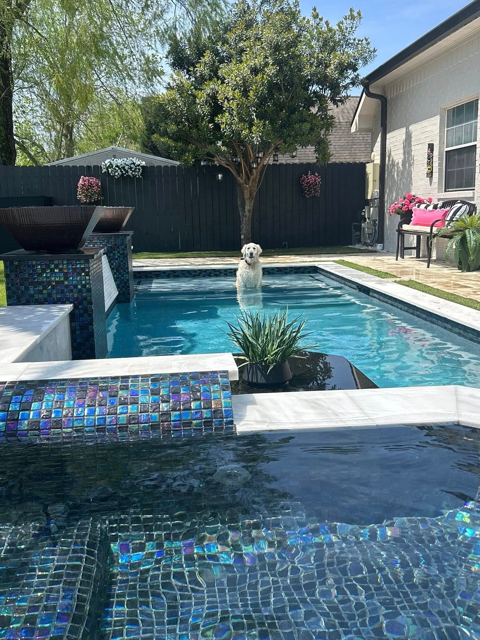 668144203_1254990083423563_1223145383163197588_n